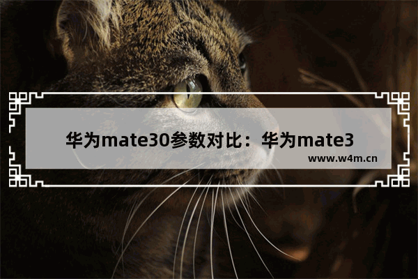 华为mate30参数对比：华为mate30参数对比荣耀X30