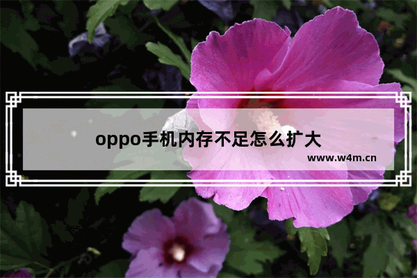 oppo手机内存不足怎么扩大