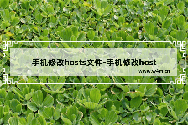 手机修改hosts文件-手机修改hosts文件访问谷歌