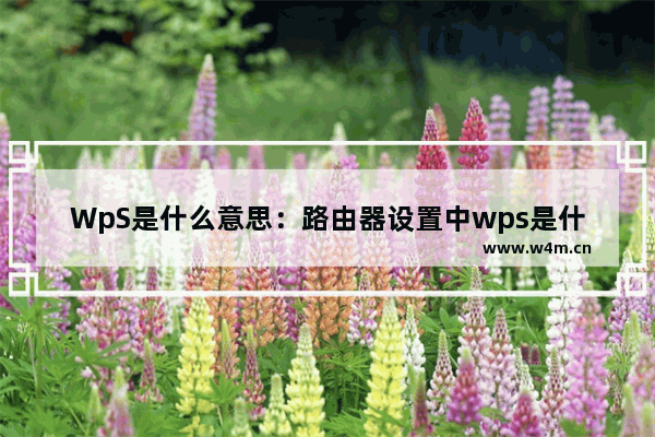 WpS是什么意思：路由器设置中wps是什么意思