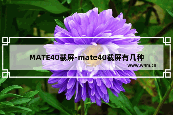 MATE40截屏-mate40截屏有几种方法