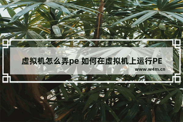 虚拟机怎么弄pe 如何在虚拟机上运行PE系统