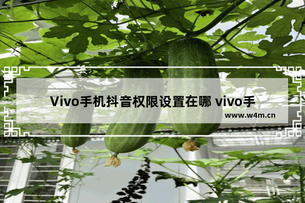 Vivo手机抖音权限设置在哪 vivo手机抖音权限设置在哪里