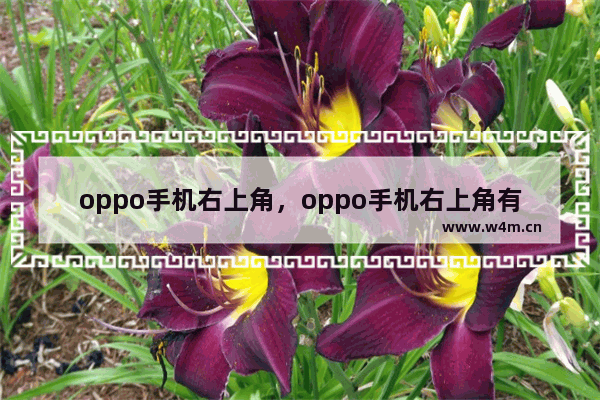 oppo手机右上角，oppo手机右上角有个锁怎么去掉