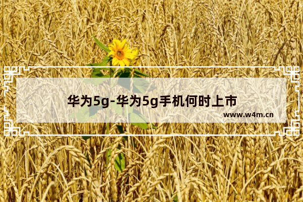 华为5g-华为5g手机何时上市