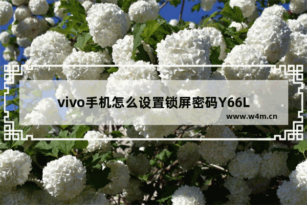 vivo手机怎么设置锁屏密码Y66L