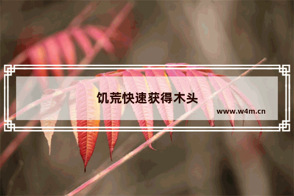 饥荒快速获得木头