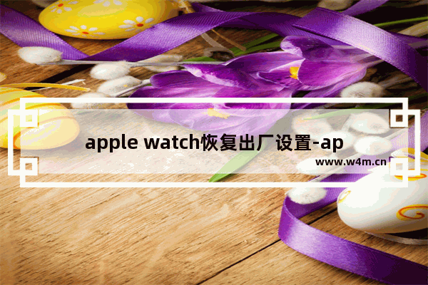 apple watch恢复出厂设置-apple watch恢复出厂设置后还需要激活锁