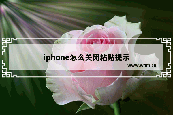 iphone怎么关闭粘贴提示