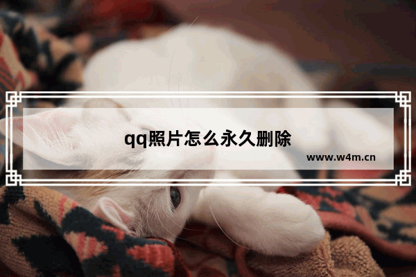 qq照片怎么永久删除