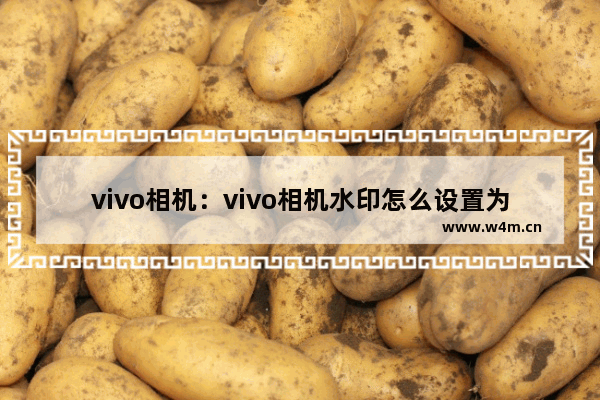 vivo相机：vivo相机水印怎么设置为时间水印