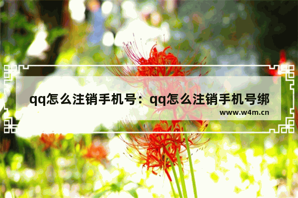 qq怎么注销手机号：qq怎么注销手机号绑定的其他账号