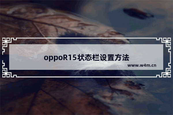 oppoR15状态栏设置方法