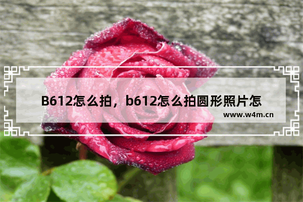 B612怎么拍，b612怎么拍圆形照片怎么没了