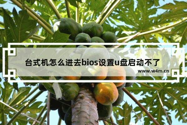 台式机怎么进去bios设置u盘启动不了 台式电脑进不了BIOS，无法启动U盘？