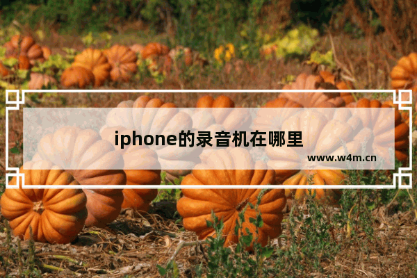 iphone的录音机在哪里