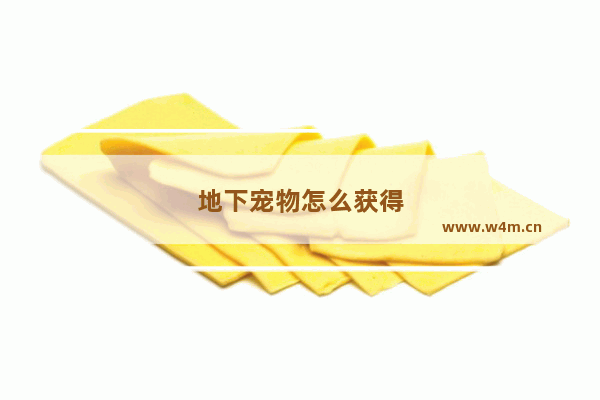 地下宠物怎么获得