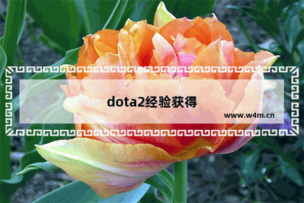 dota2经验获得