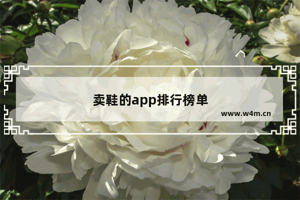 卖鞋的app排行榜单