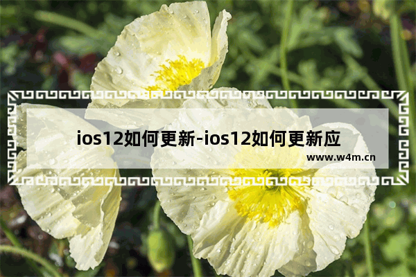 ios12如何更新-ios12如何更新应用