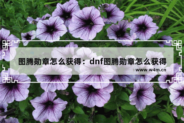 图腾勋章怎么获得：dnf图腾勋章怎么获得