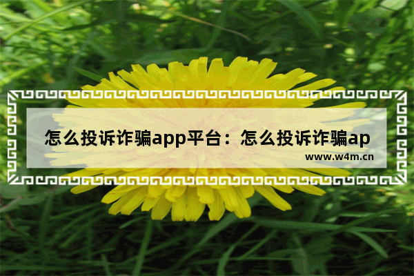 怎么投诉诈骗app平台：怎么投诉诈骗app平台拿回钱