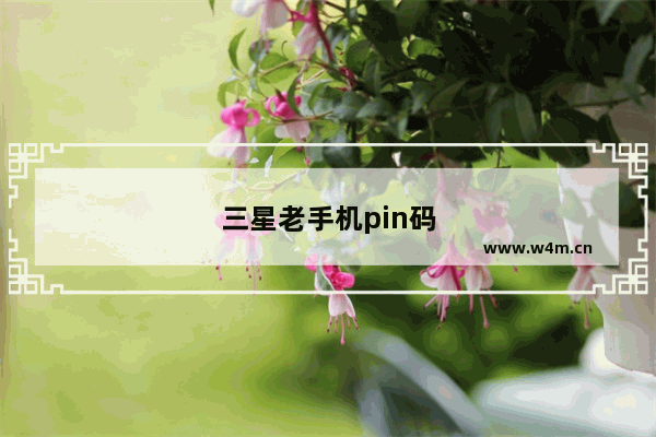 三星老手机pin码