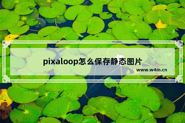 pixaloop怎么保存静态图片