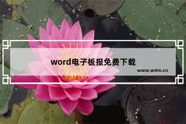 word电子板报免费下载