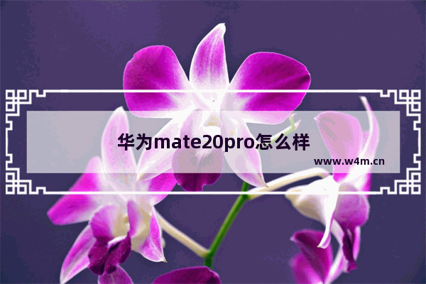 华为mate20pro怎么样