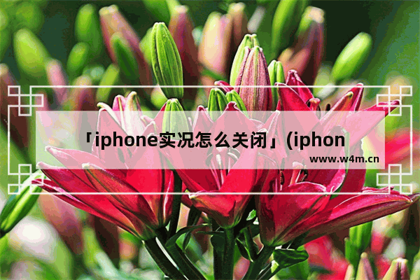 「iphone实况怎么关闭」(iphone实况怎么关闭录音)