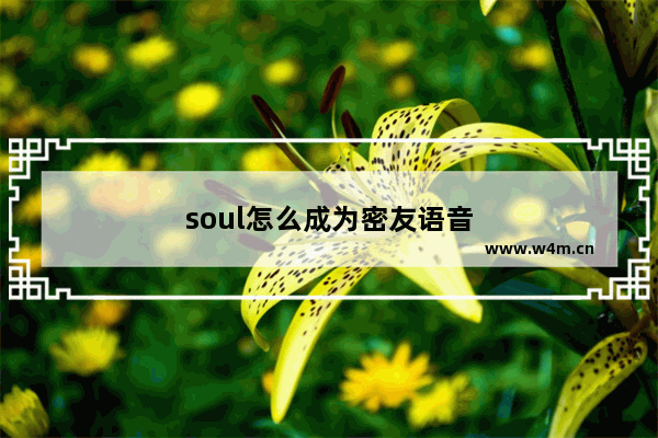 soul怎么成为密友语音