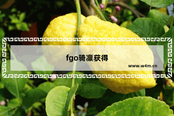 fgo骑凛获得