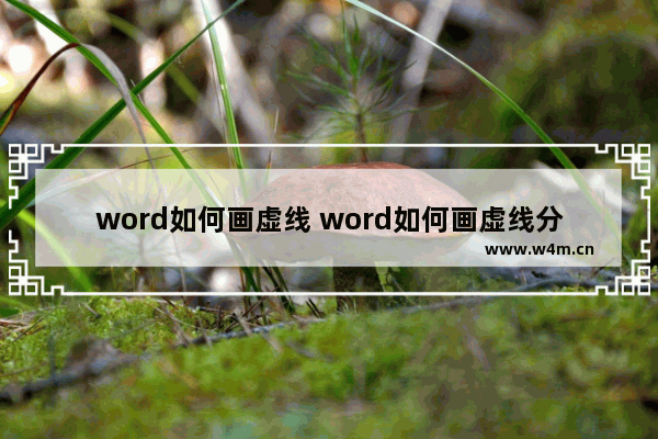 word如何画虚线 word如何画虚线分割