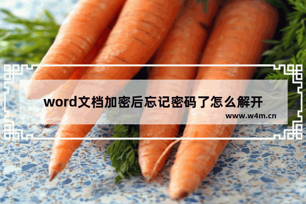 word文档加密后忘记密码了怎么解开