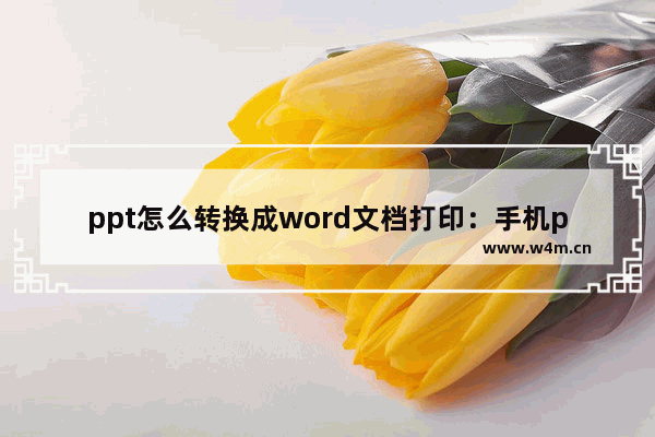 ppt怎么转换成word文档打印：手机ppt怎么转换成word文档打印