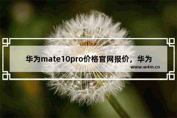 华为mate10pro价格官网报价，华为mate10pro价格官网报价128