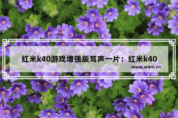 红米k40游戏增强版骂声一片：红米k40游戏增强版骂声一片扬声器