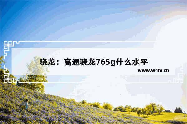 骁龙：高通骁龙765g什么水平