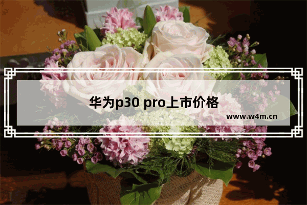 华为p30 pro上市价格