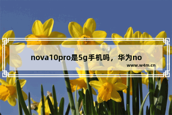 nova10pro是5g手机吗，华为nova10pro是5g手机吗