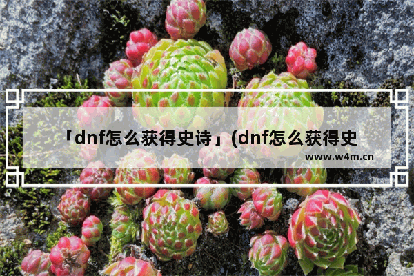 「dnf怎么获得史诗」(dnf怎么获得史诗装备划算)