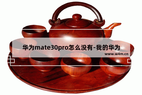 华为mate30pro怎么没有-我的华为mate30pro怎么没有隔空操作