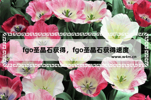 fgo圣晶石获得，fgo圣晶石获得速度