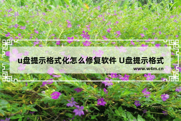 u盘提示格式化怎么修复软件 U盘提示格式化修复软件推荐