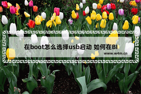 在boot怎么选择usb启动 如何在BIOS中选择USB启动