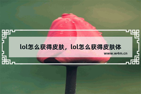 lol怎么获得皮肤，lol怎么获得皮肤体验卡