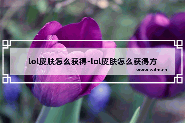 lol皮肤怎么获得-lol皮肤怎么获得方法