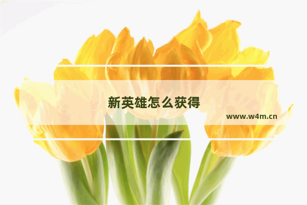 新英雄怎么获得