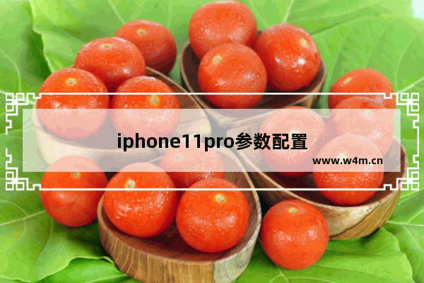 iphone11pro参数配置